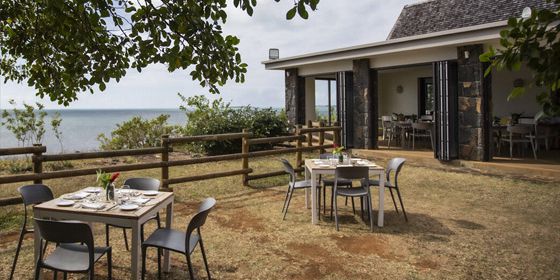 Lunch at Ferney Falaise Rouge (3)
